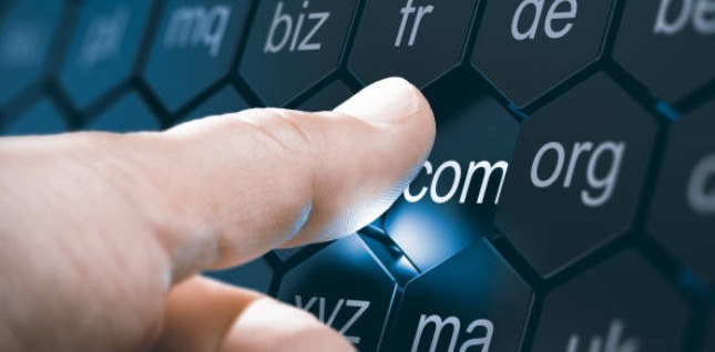 Domain Registration